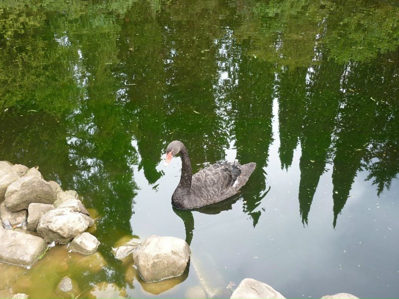 Olga Koroleva | Волгоград
