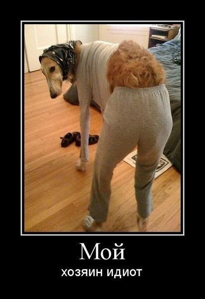 Настя Наумова | Москва