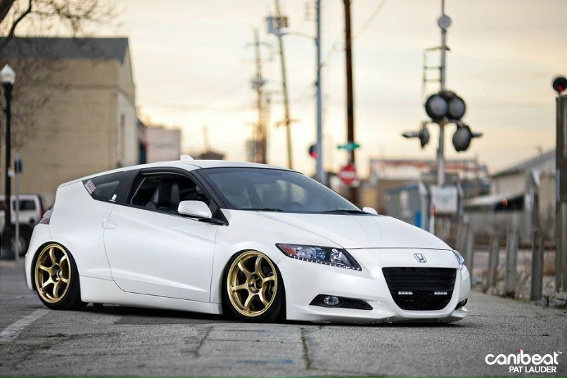 Никита Немтинов | 