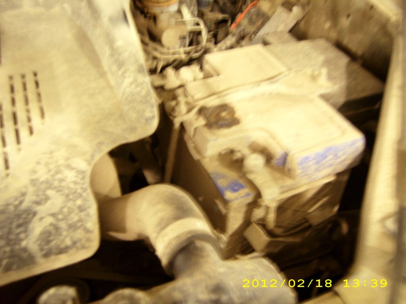 Наталья Кочнева | Санкт-Петербург