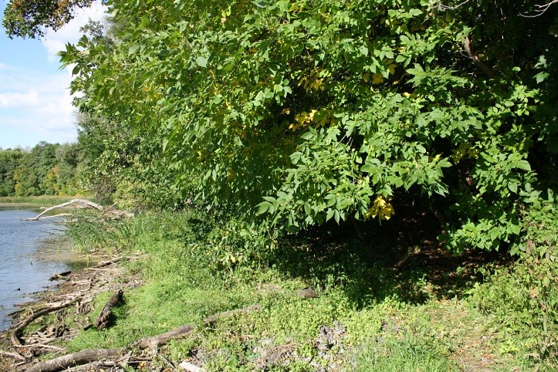 Маргарита Иванова | Москва