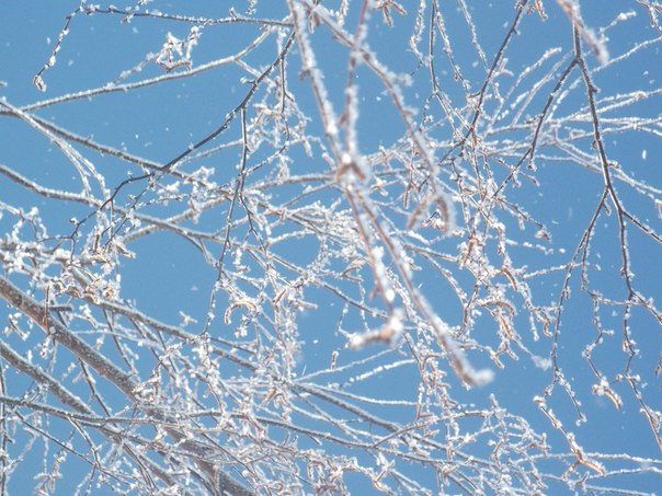 №4, Мария Белая, Новосокольники №4, Мария Белая, Новосокольники