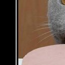 №83, Виталина Мач, Харьков №83, Виталина Мач, Харьков