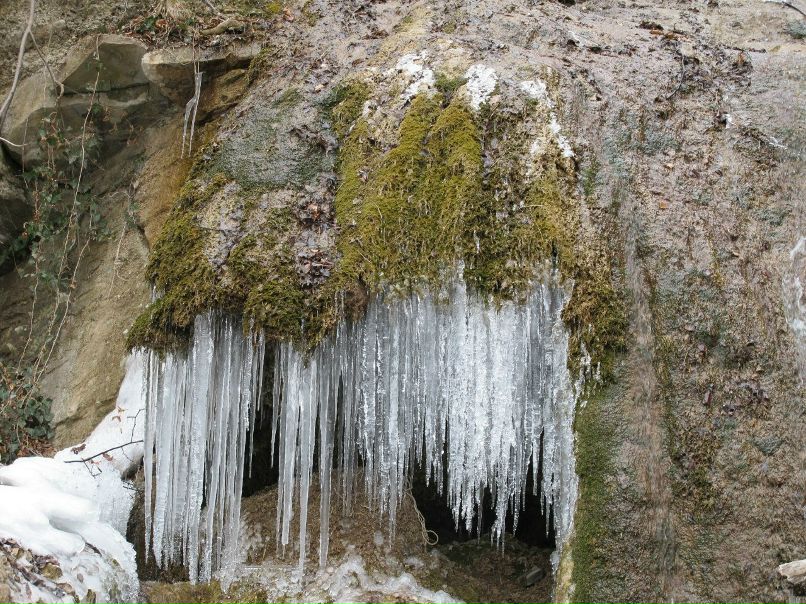 Игорь Баженов | 