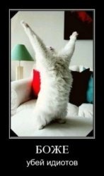 №23, Серёжа Сержов, 18 лет, Калининград №23, Серёжа Сержов, 18 лет, Калининград