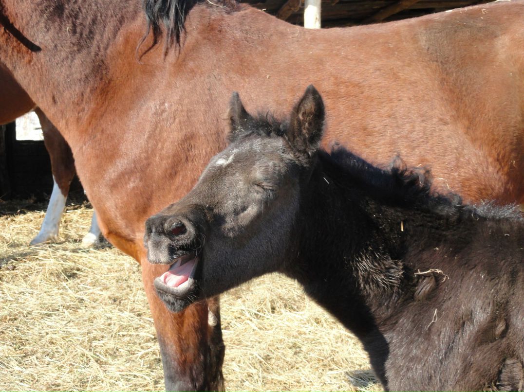 Ольга Гапоненко | Кемерово