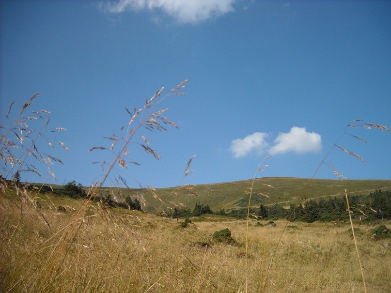 Анна Чудная _la maravilla oscura_ | Харьков