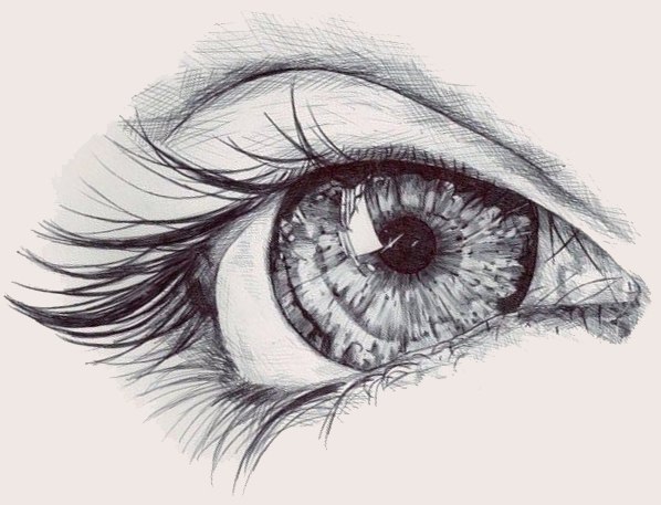 Ainura Abisheva | Алматы