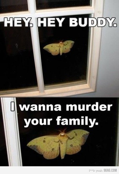 Игорь Гронов | Красноярск