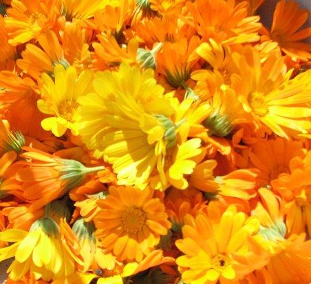 Анна Кипоть | Москва