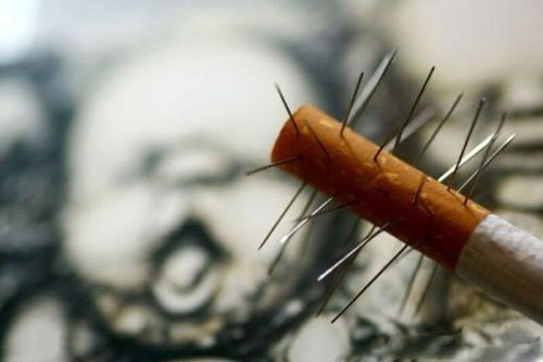 Серёга Митрофанов | 