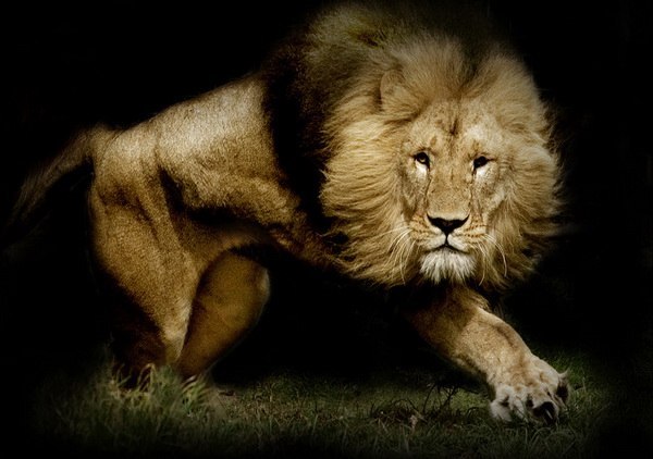 Rostislav Zenin Новый | Москва