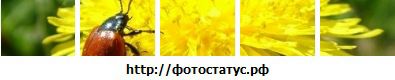 №36 Мария Голубева 11.03: профиль, фото, статус - ВКонтакте №36 Мария Голубева 11.03: профиль, фото, статус - ВКонтакте