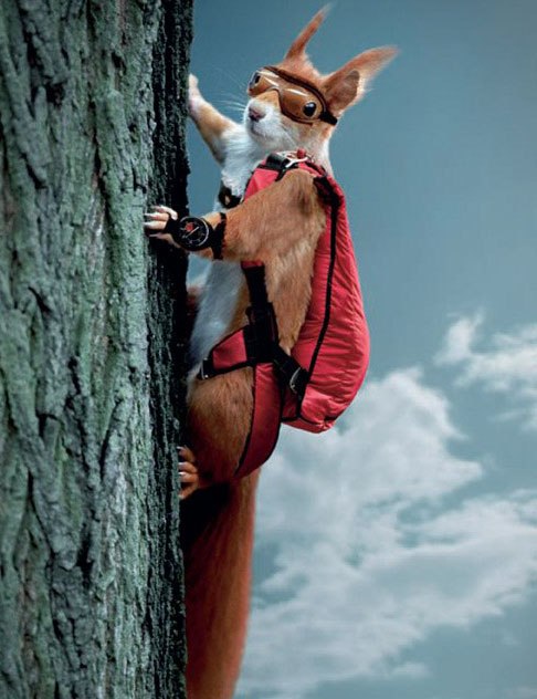 Тетяна Тарадай | Киев