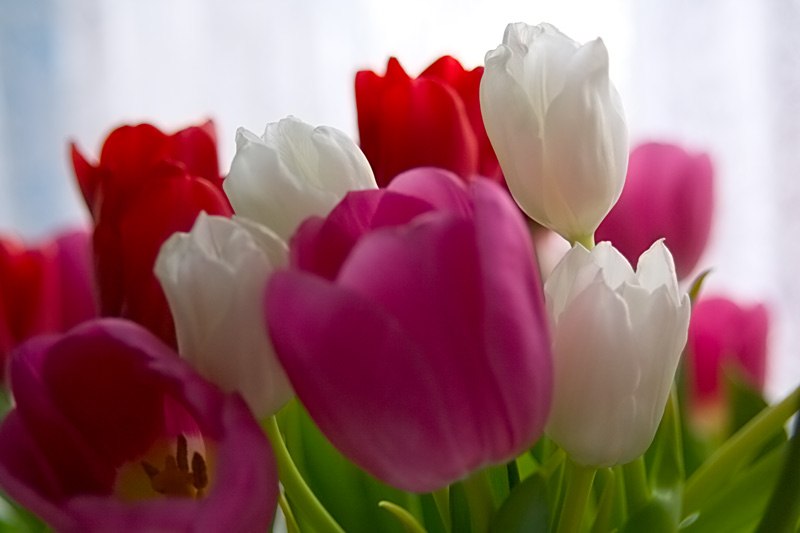 Лиана Садыкова | Октябрьский