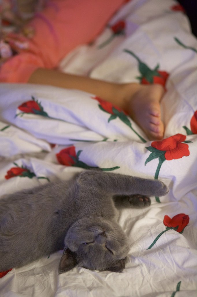 Евгений Бузук | Гродно