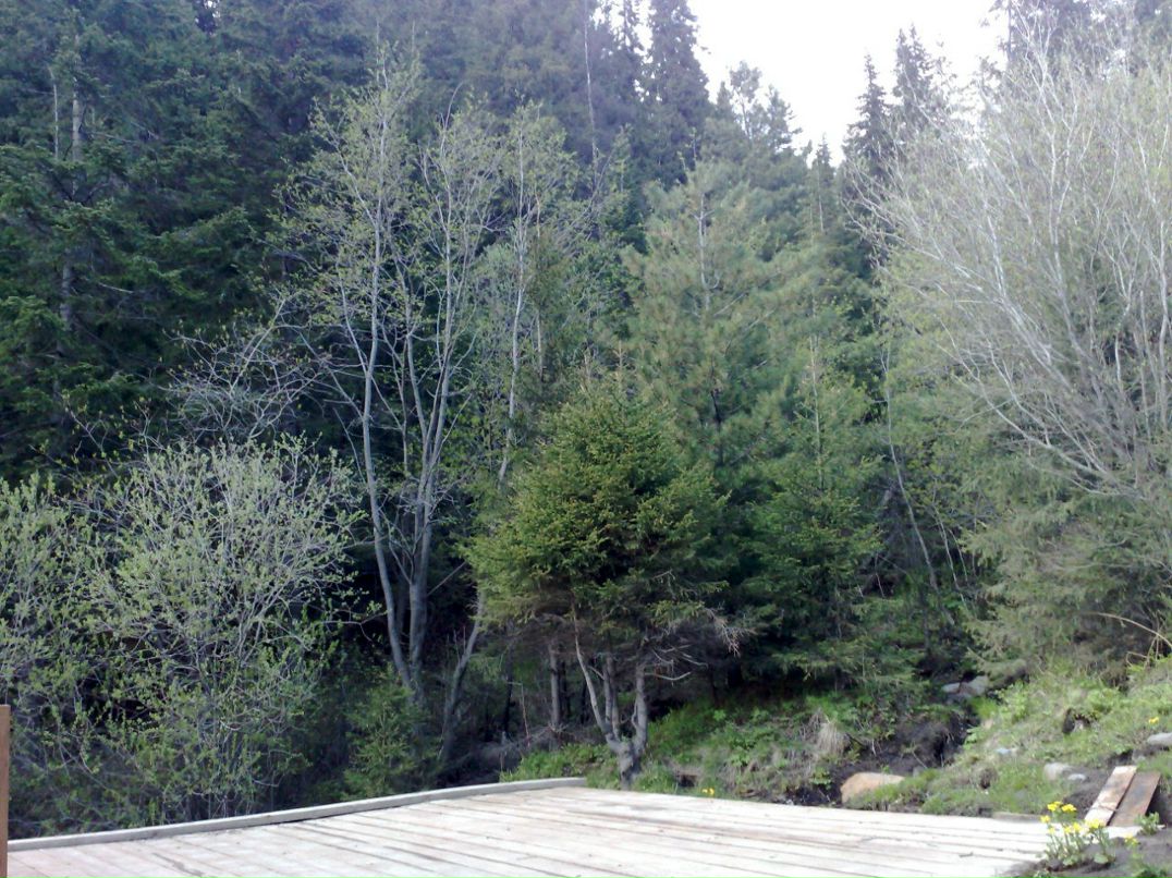 Александр Березин | Тюмень