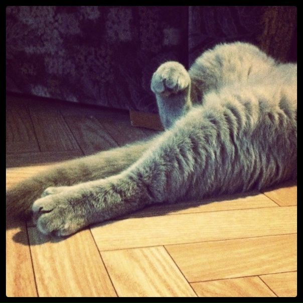 №75, Оля Пастухова, Санкт-Петербург, Россия №75, Оля Пастухова, Санкт-Петербург, Россия