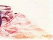 Ульяна Степанова | Санкт-Петербург