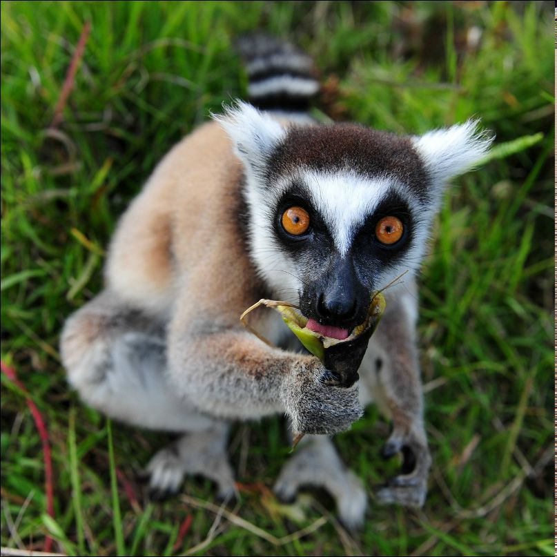 Иван Дьяков Van | Санкт-Петербург