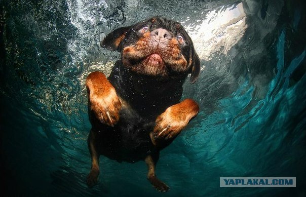 Егор Маланичев | Praha