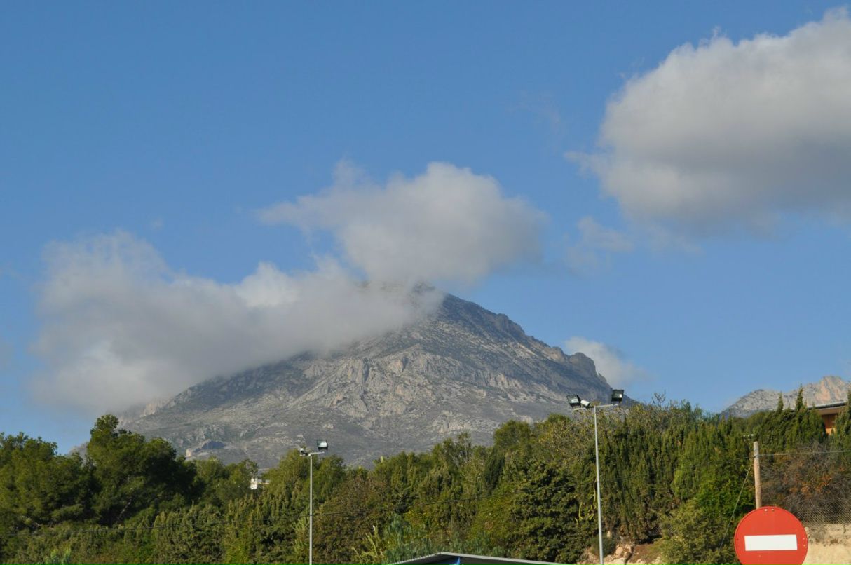 Артур Маргусевич | Житомир