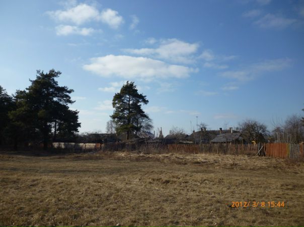 №96, Алексей Янг, Wuhan №96, Алексей Янг, Wuhan