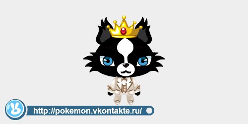 Кирилл Новосельцев | Чебоксары