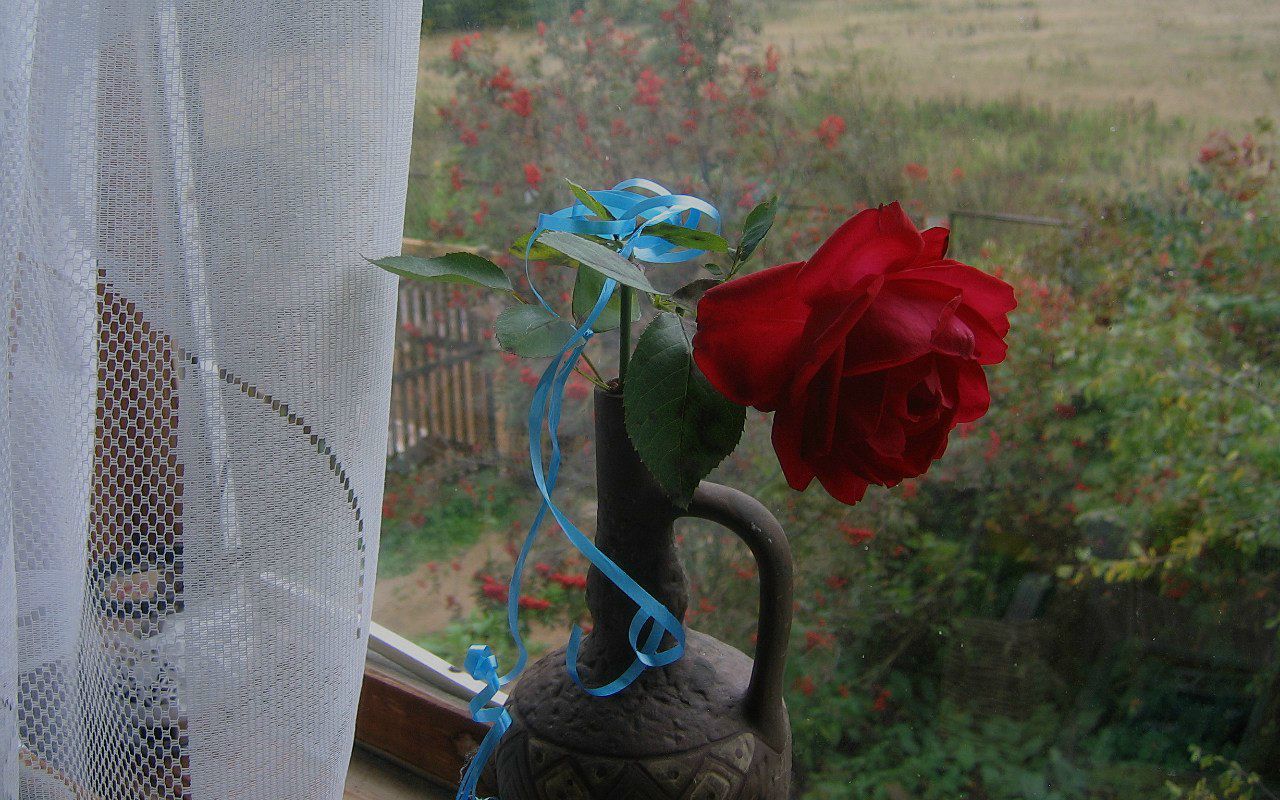 Александр Трущёв | Москва