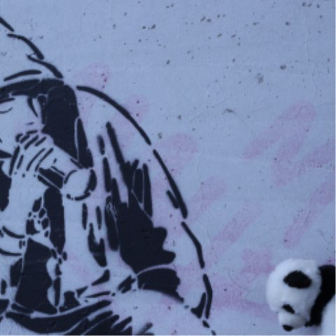 Niako Legionx | Oslo