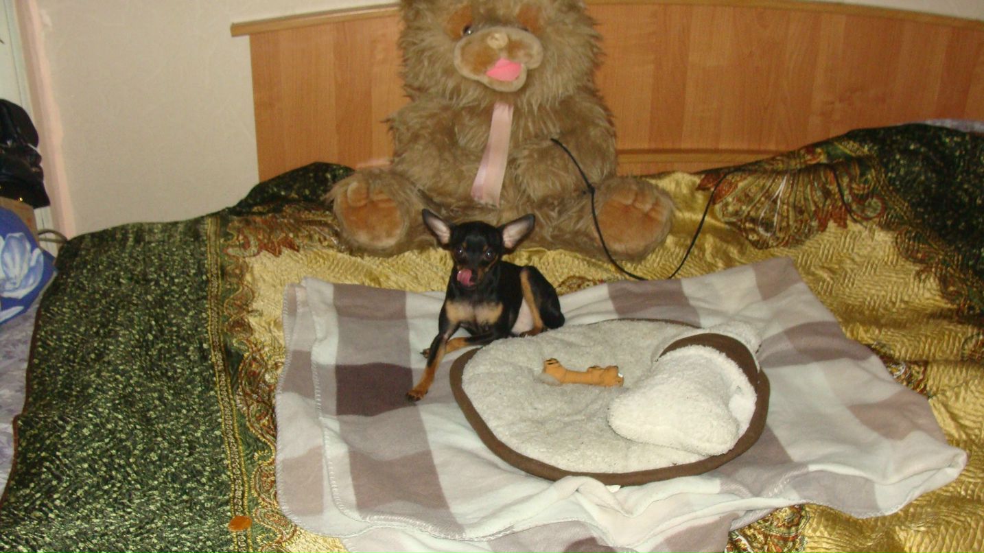 Кристина Шаманина -ГУПИК- | Москва