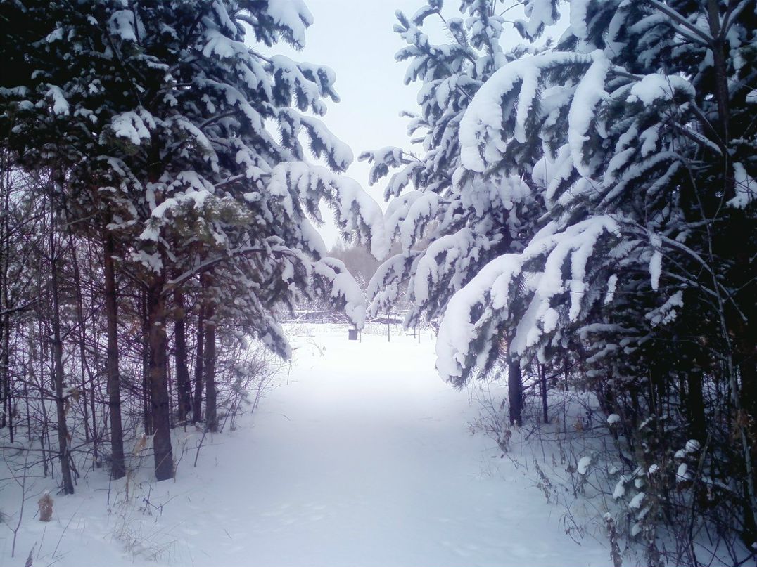 Александр Лалетин | Ангарск