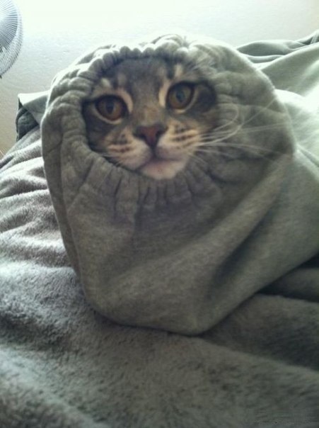 Sanek Grinin *=GRAF=* | Санкт-Петербург