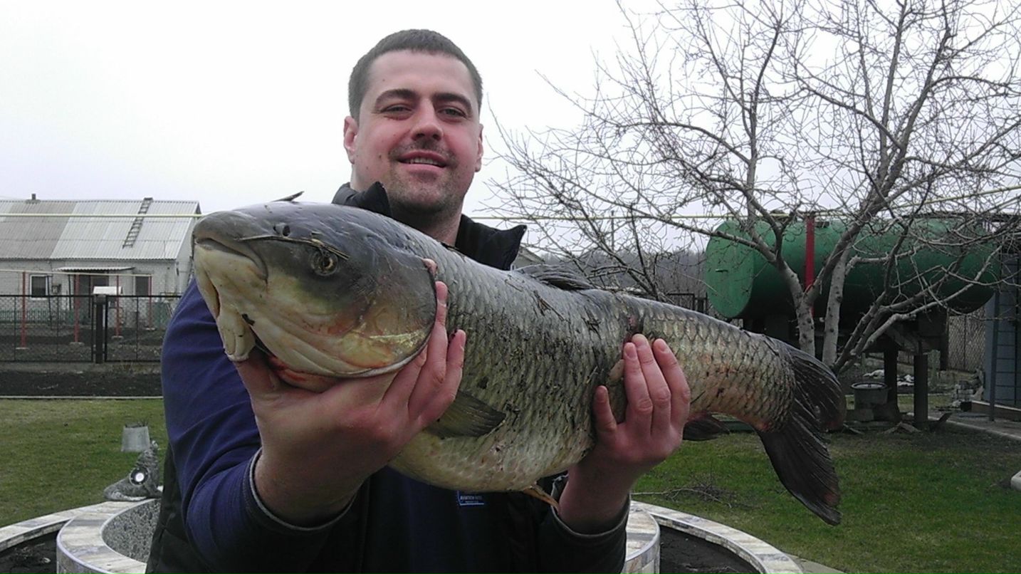 Владимир Гладуш | Днепр (Днепропетровск)