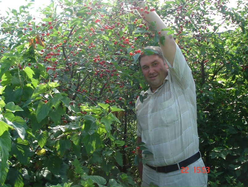 №6, Дмитрий Марков №6, Дмитрий Марков