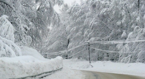 Людмила Иванова | Петрозаводск