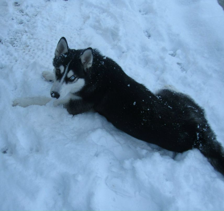 Наташа Базина | Ростов-на-Дону