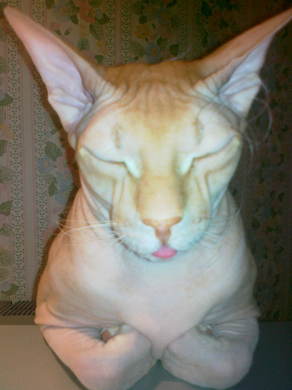 Сергей Брикун | Санкт-Петербург