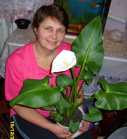 Людмила Пiдлiсна-Яриш Володимирiвна | Злинка