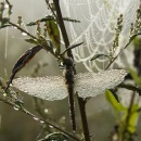 №6 Татьяна Сидорова 31.07: профиль, фото, статус - ВКонтакте №6 Татьяна Сидорова 31.07: профиль, фото, статус - ВКонтакте