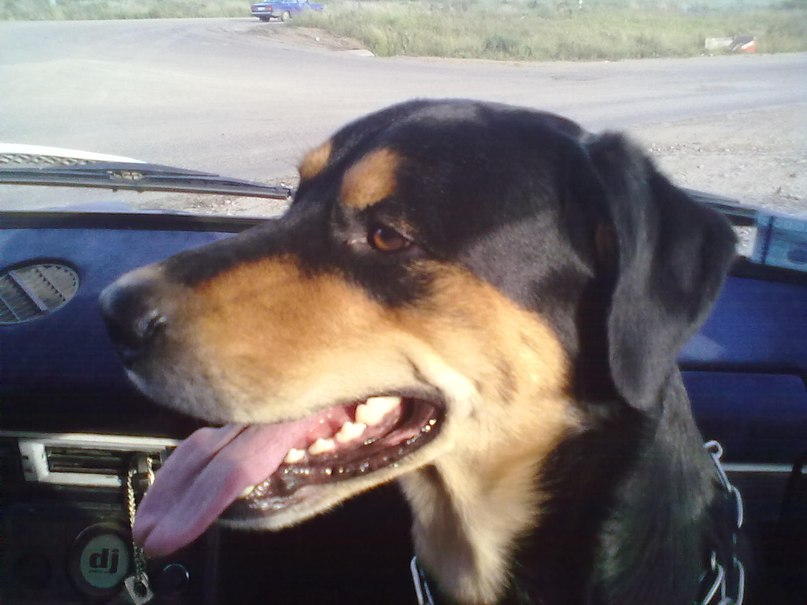 Tatka Zekova | Канск