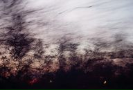 №12, Татьяна Ларина, 13.4.1988, 37 лет, Санкт-Петербург, Россия