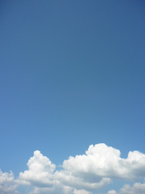 The Peach | Москва