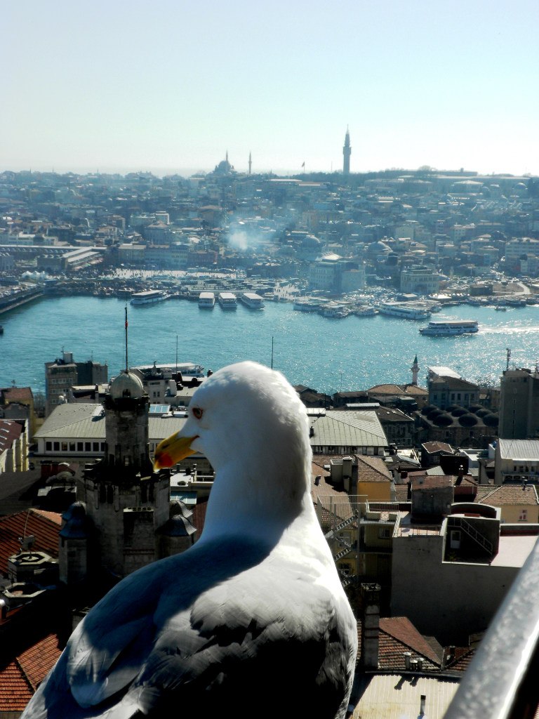 Алина Сайденова linch | Санкт-Петербург