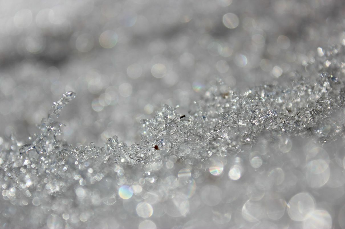 Роман Мезев | Новосибирск