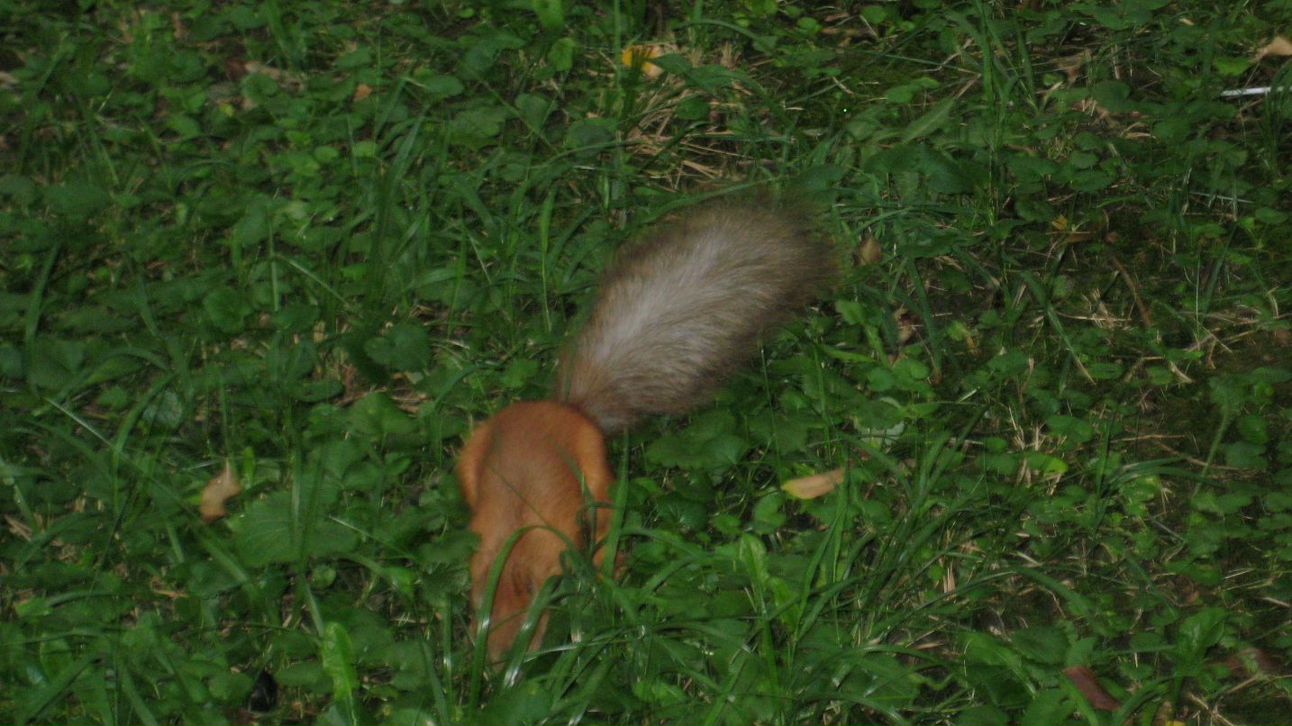 Юлия Ячменёва Azuma | 