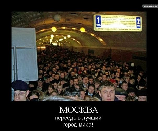 №156, Алексей Шайкин, Киев №156, Алексей Шайкин, Киев