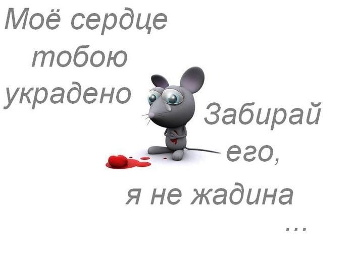 Женя Коробицын | Новосибирск