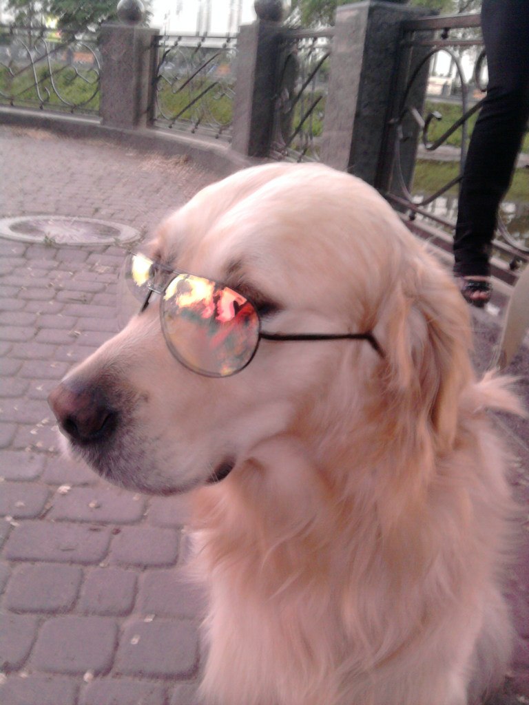 Dmitry Smirnov | Харьков