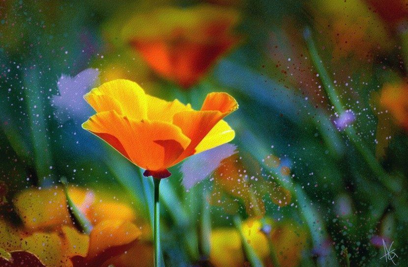 Кристина Лаврова | 